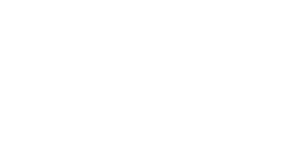 BO.BLENDZ Logo